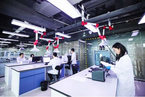 安徽百納藥業 深耕痛風降酸研究，以專業服務守護健康